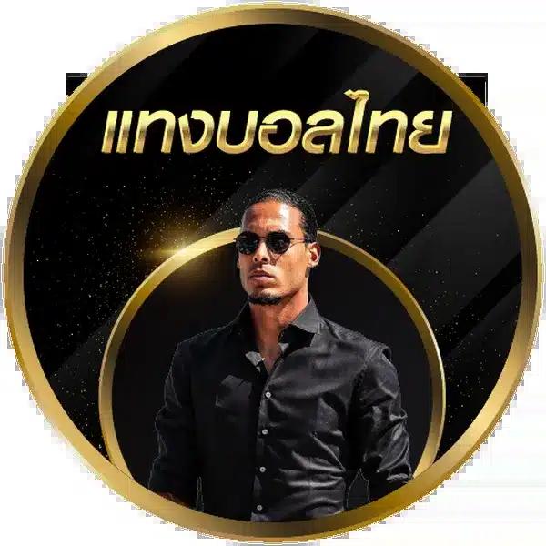 slot game 6666 เว็บตรง สมัครง่าย เล่นได้ทุกแพลตฟอร์มรองรับทรูมันนี่