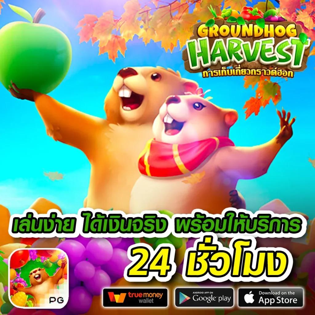 สล็อตxoเว็บตรง ฝากถอนง่าย ไม่มีขั้นต่ำ พร้อมโปรโมชั่นสุดคุ้ม